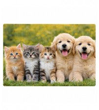 Фото Пъзел Със Снимка 18×13 См – 63 Части